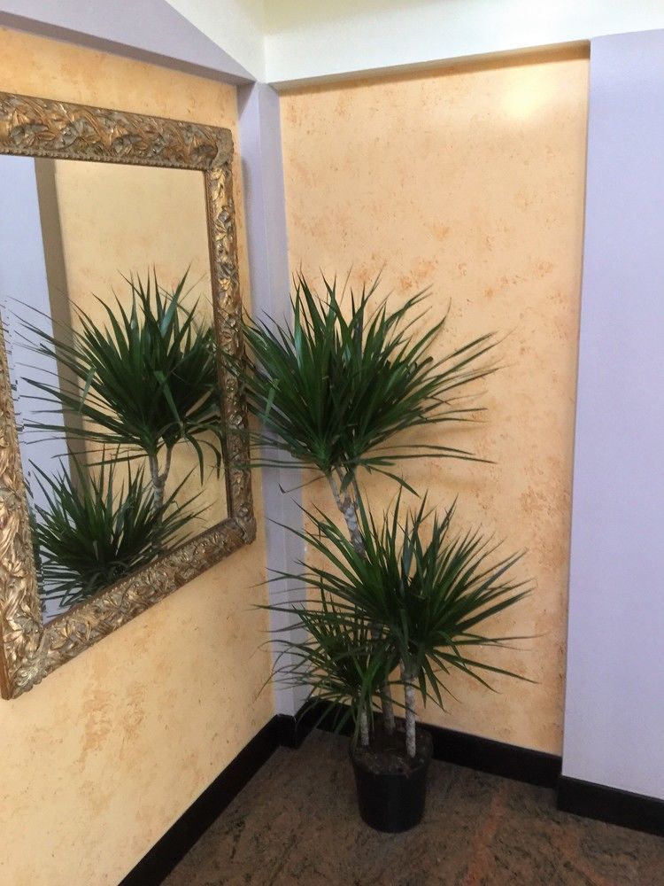 Hotel Marco Polo Self Check-In Bologna Kültér fotó